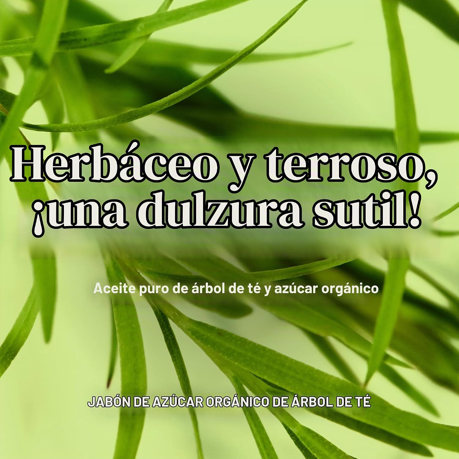 JABÓN LÍQUIDO ORGÁNICO DR. BRONNER'S ÁRBOL DE TÉ 24 OZ - 4