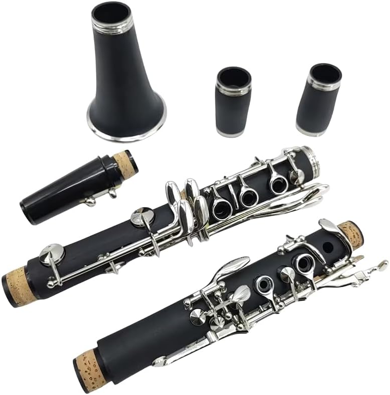 CLARINETE BB YOUNGMONIC CUERPO DE ÉBANO NEGRO CON LLAVES NIQUELADAS KIT COMPLETO PARA PRINCIPIANTES - 2