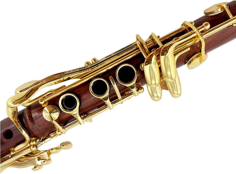 CLARINETE BB YOUNGMONIC CUERPO DE PALISANDRO LLAVES DORADAS SET INICIANTE CON ESTUCHE - 2