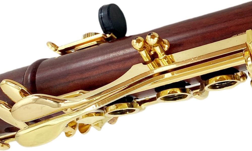 CLARINETE BB YOUNGMONIC CUERPO DE PALISANDRO LLAVES DORADAS SET INICIANTE CON ESTUCHE - 3