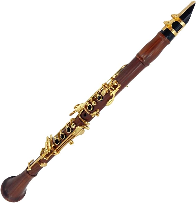 CLARINETE BB YOUNGMONIC CUERPO DE PALISANDRO LLAVES DORADAS SET INICIANTE CON ESTUCHE - 5
