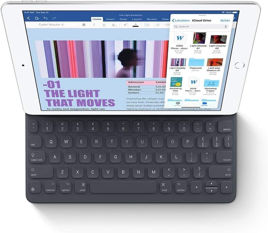 TABLET APPLE IPAD 10.2'' LATE 2019 128GB WIFI PLATA REACONDICIONADA - 4