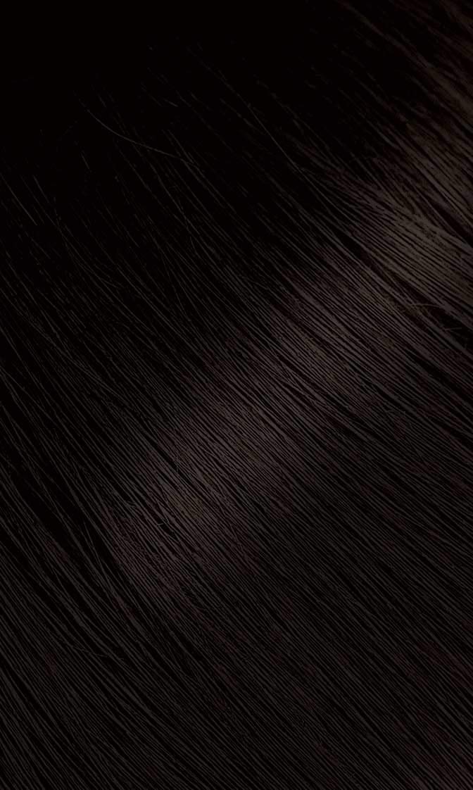 TINTURA BIGEN POWDER HAIR COLOR #48 CASTAÑO OSCURO PACK 3 - 2