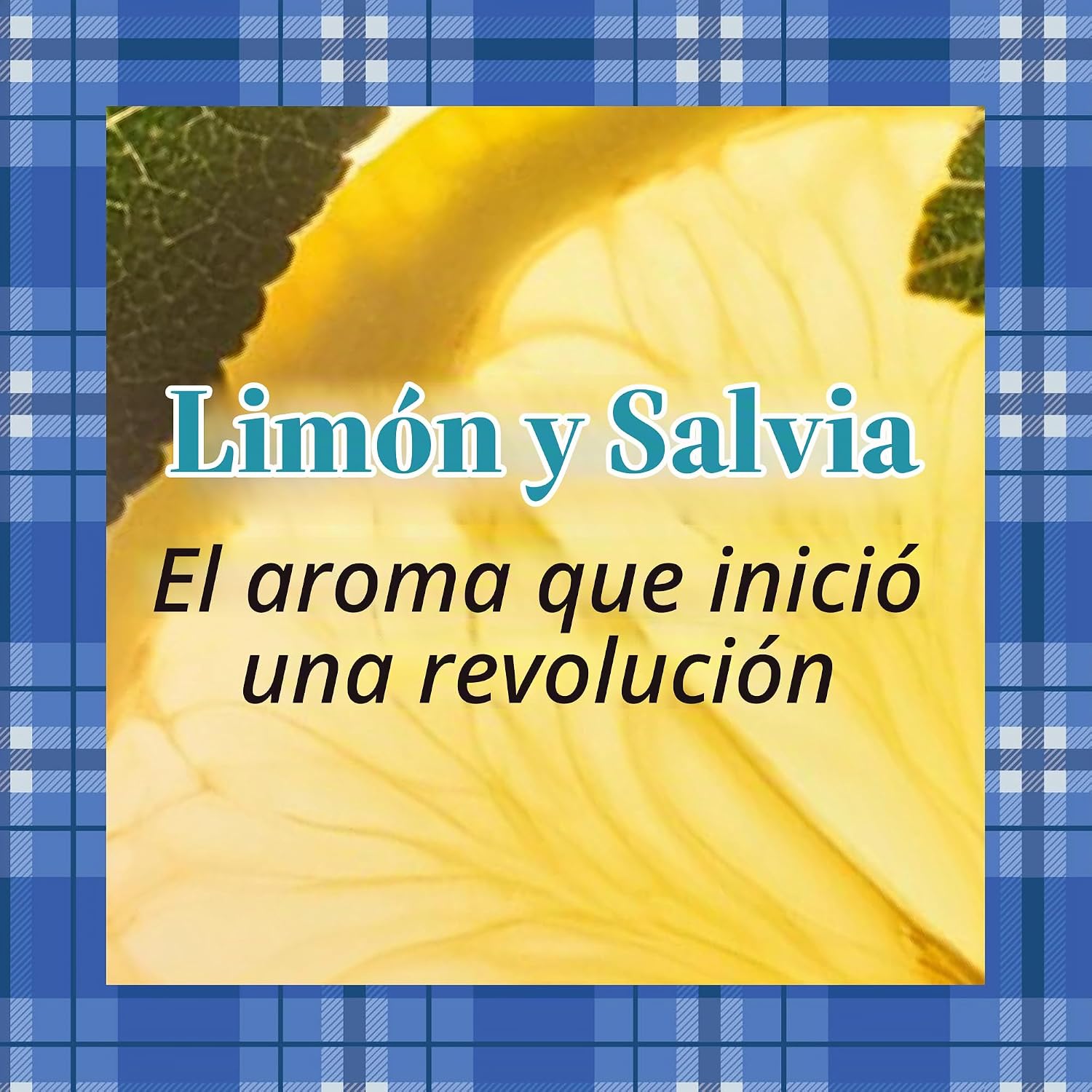 CREMA CORPORAL BLISS GILMORE GIRLS LIMÓN Y SALVIA PARA PIEL SENSIBLE - 5