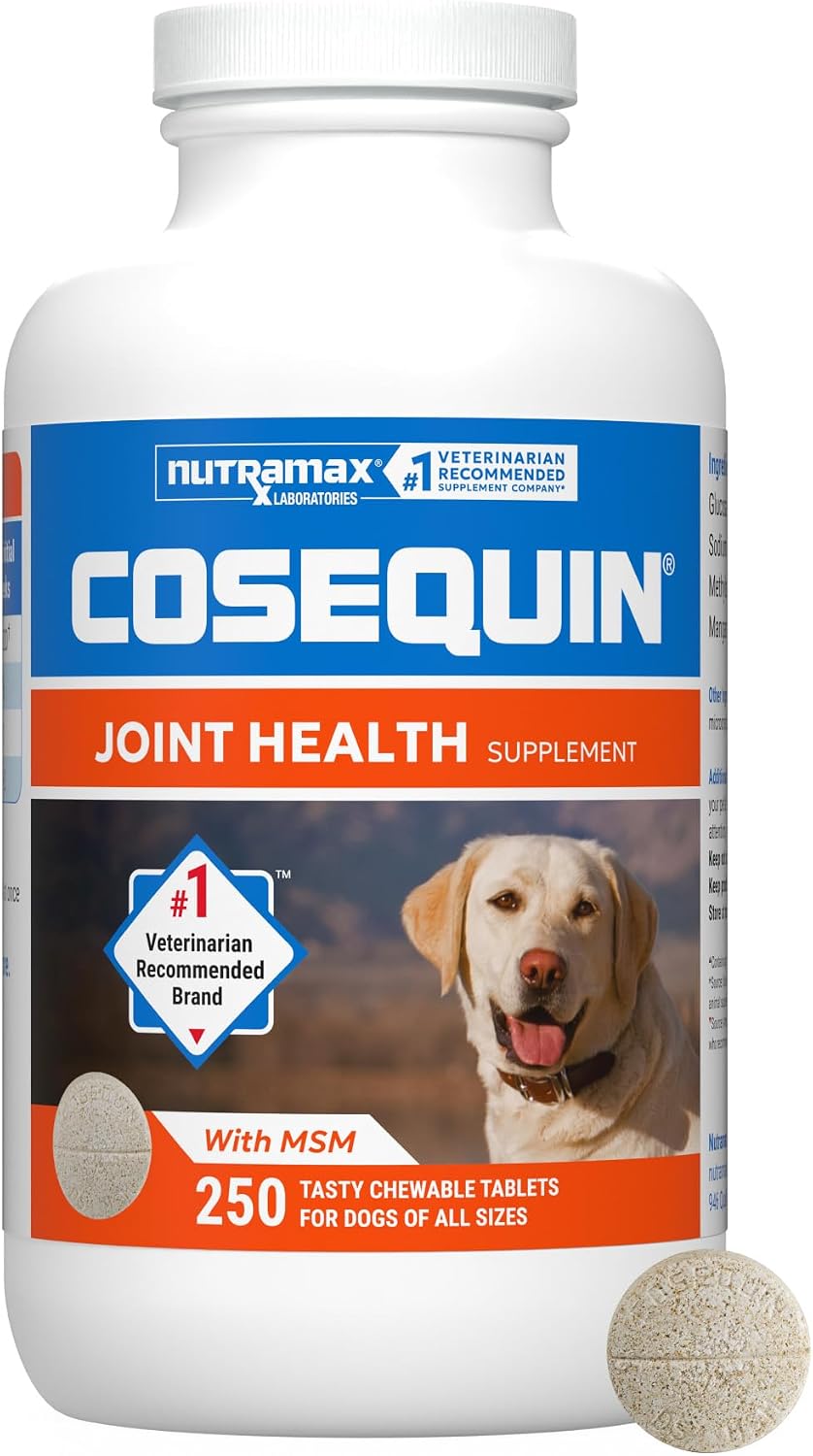 SUPLEMENTO ARTICULAR NUTRAMAX COSEQUIN PARA PERROS CON MSM Y HA, 250 TABLETAS MASTICABLES - 1