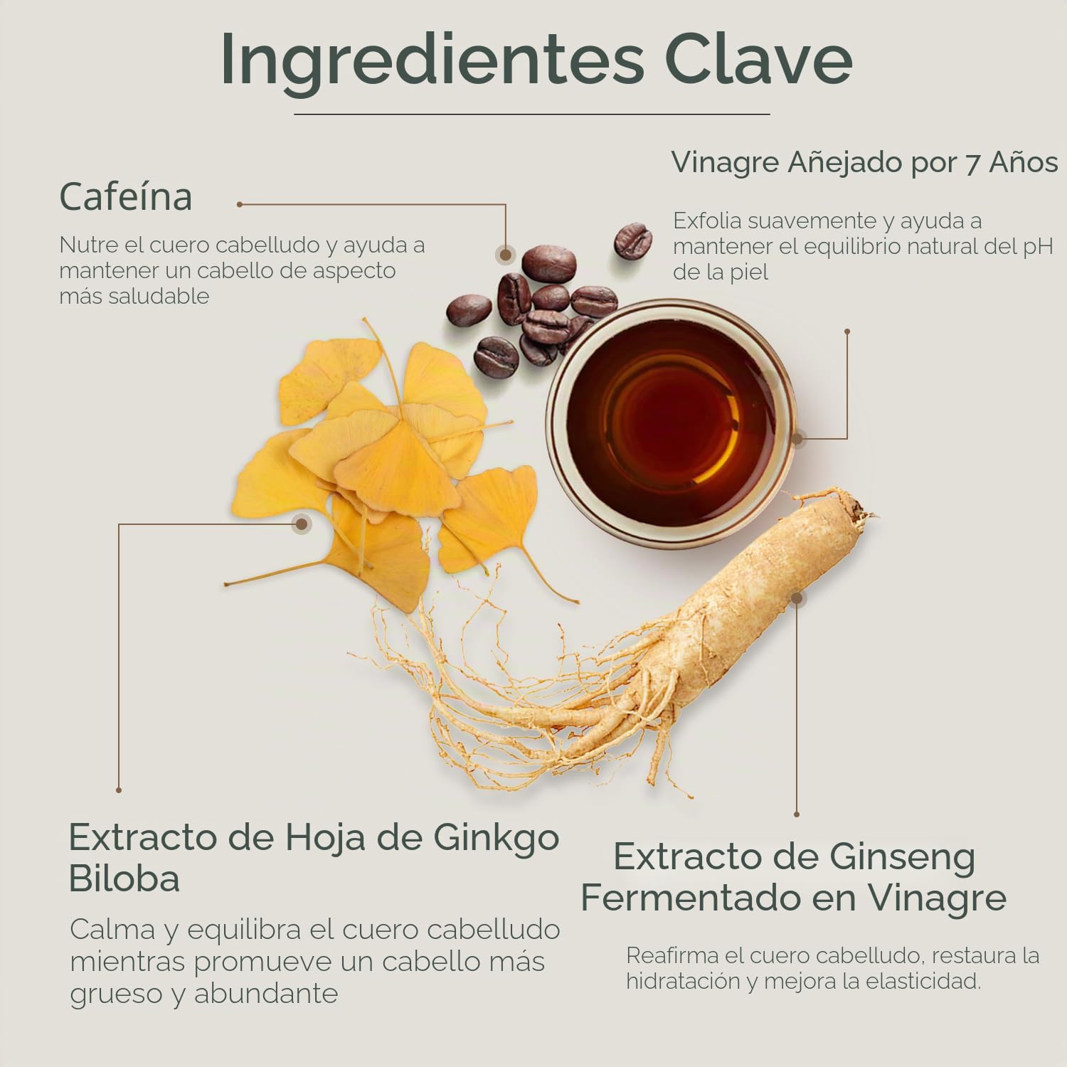 SHAMPOO ACLARANTE 107 CLARIFYING CON VINAGRE FERMENTADO Y GINSENG 12.84OZ - 3