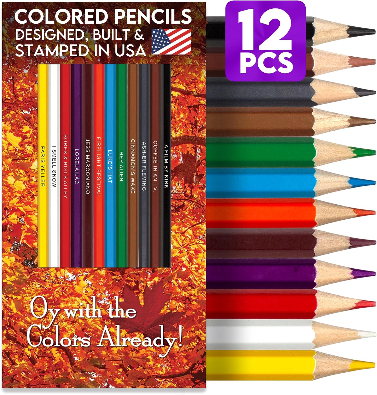LÁPICES DE COLOR PUN LABS COZY CORNERS SET 12 PIEZAS NÚCLEO SUAVE - 1