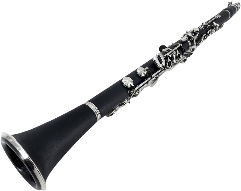 CLARINETE G YOUNGMONIC ÉBANO CON LLAVES NIQUELADAS KIT COMPLETO PARA PRINCIPIANTES - 2