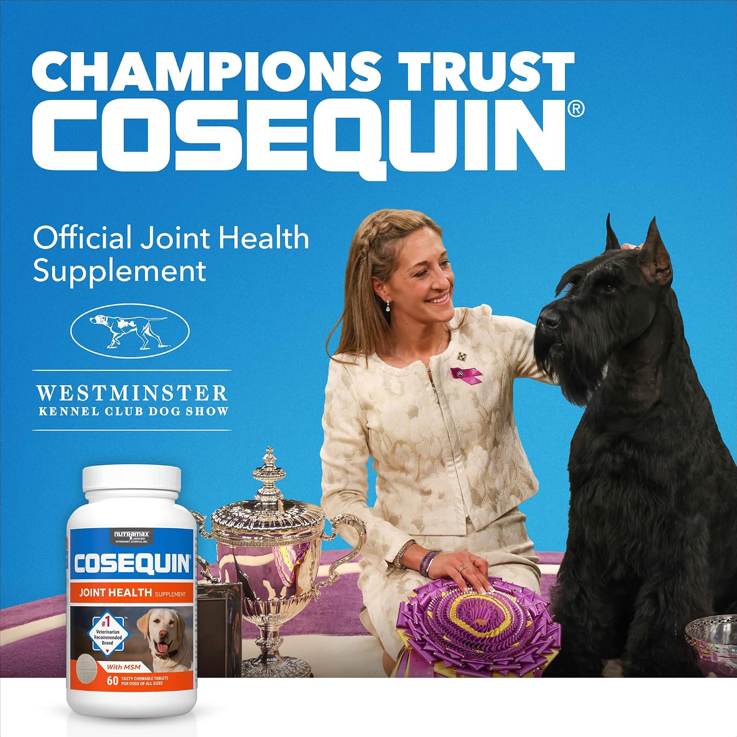 SUPLEMENTO ARTICULAR NUTRAMAX COSEQUIN MAXIMUM STRENGTH PARA PERROS, 2 PACKS DE 264 TABLETAS MASTICABLES - 2