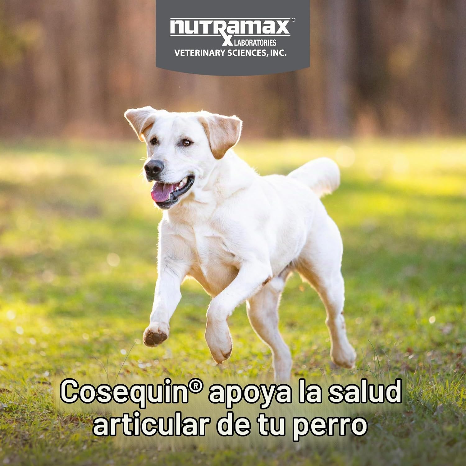 SUPLEMENTO ARTICULAR COSEQUIN PARA PERROS CON GLUCOSAMINA, CONDROITINA, MSM Y ÁCIDO HIALURÓNICO, 75 TABLETAS MASTICABLES - 2