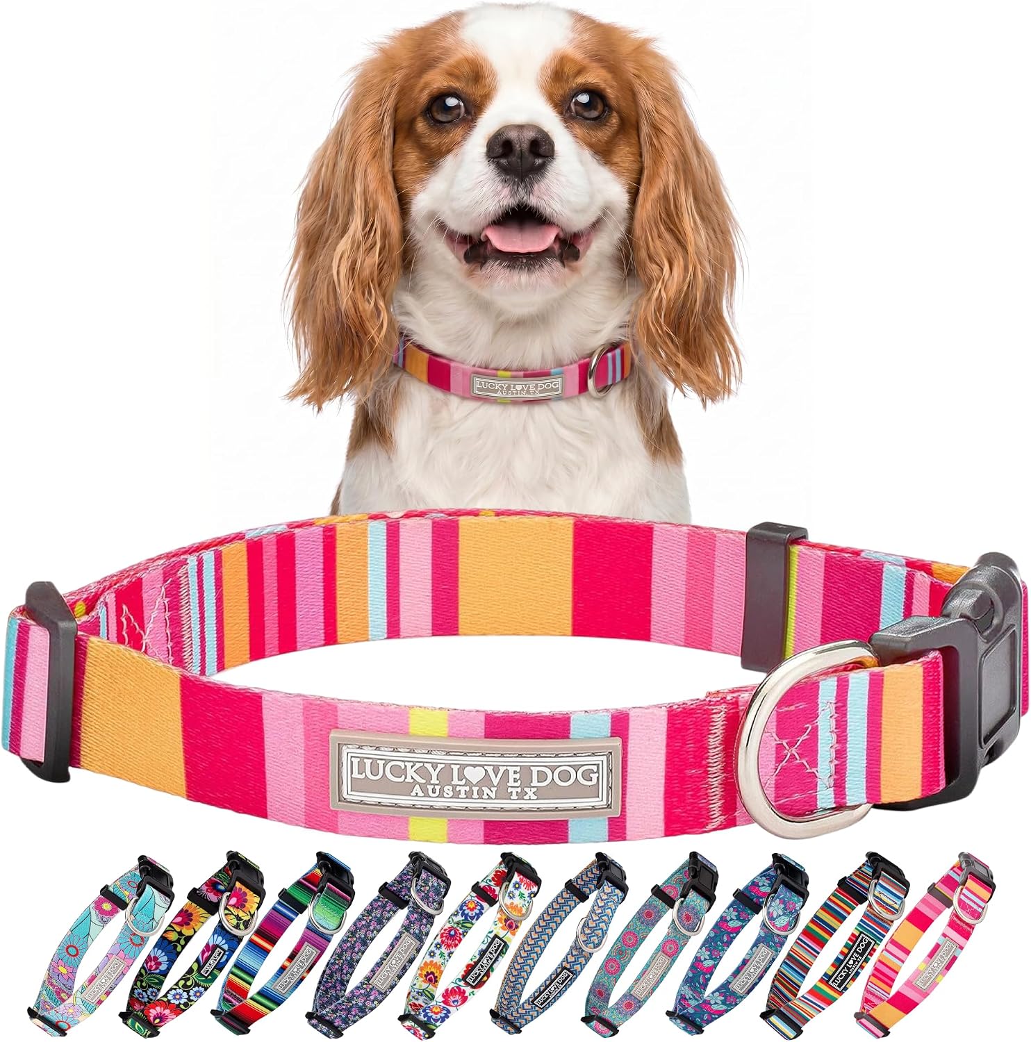 COLLAR AJUSTABLE LUCKY LOVE DOG MOLLY PARA PERROS PEQUEÑOS - 1