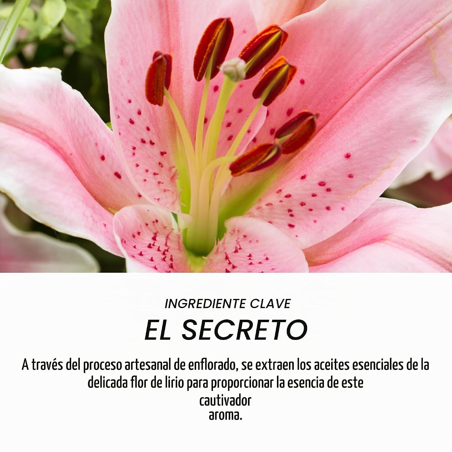 PERFUME O BOTICÁRIO LILY CLASSIC PARA MUJER 75 ML - 5