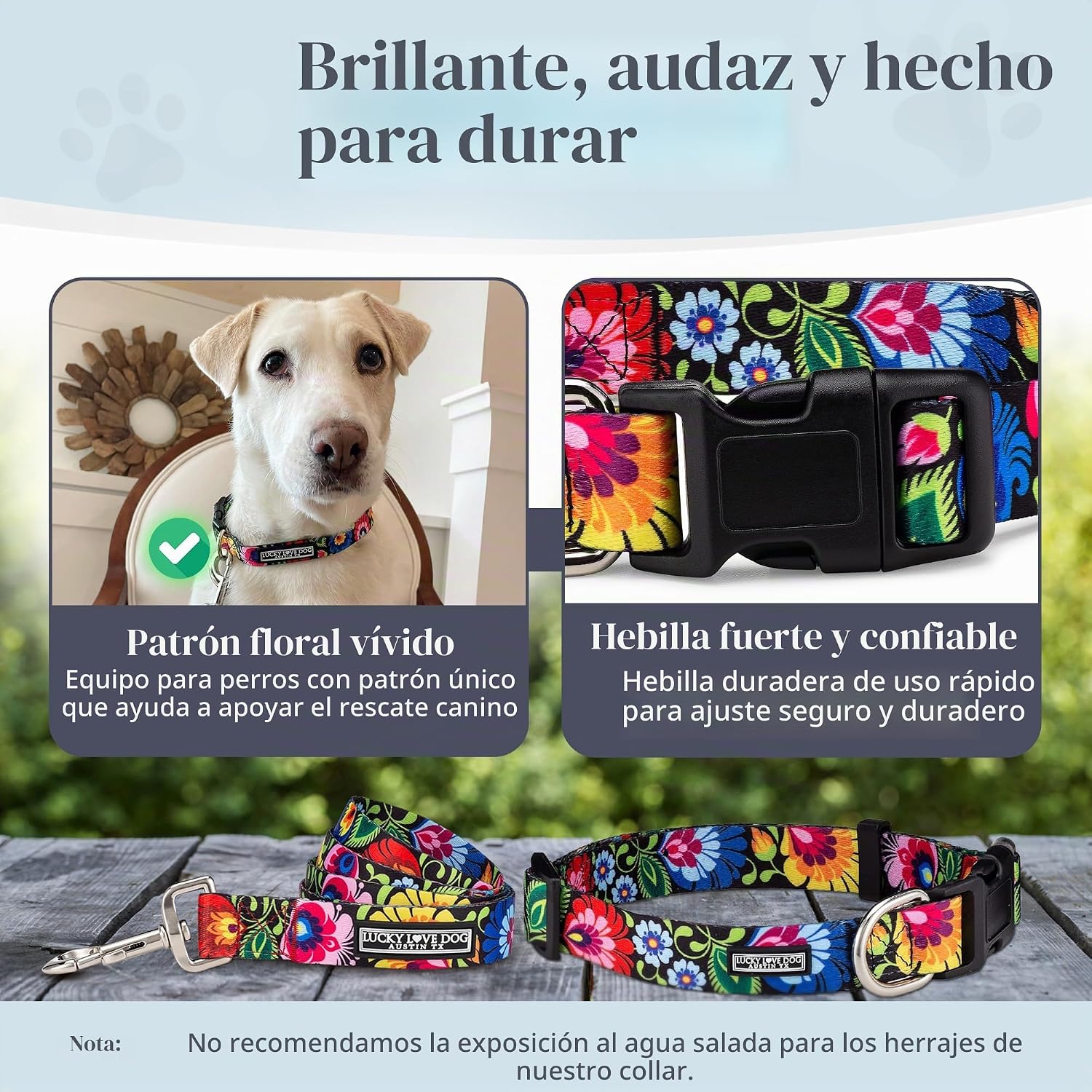 COLLAR Y CORREA LUCKY LOVE DOG BLACKBIRD PARA PERROS MEDIANOS - 3