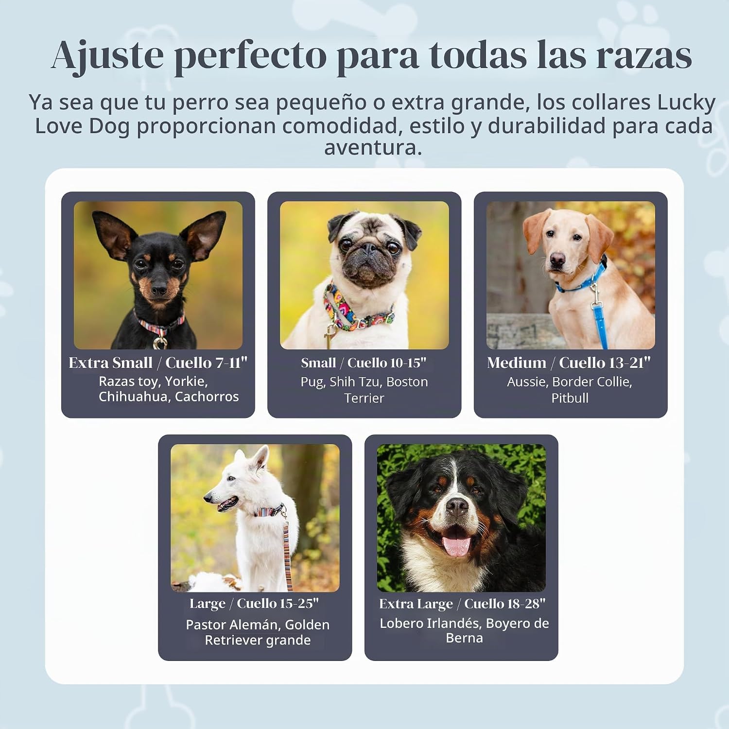 COLLAR AJUSTABLE LUCKY LOVE DOG BLACKBIRD PARA PERROS PEQUEÑOS - 5