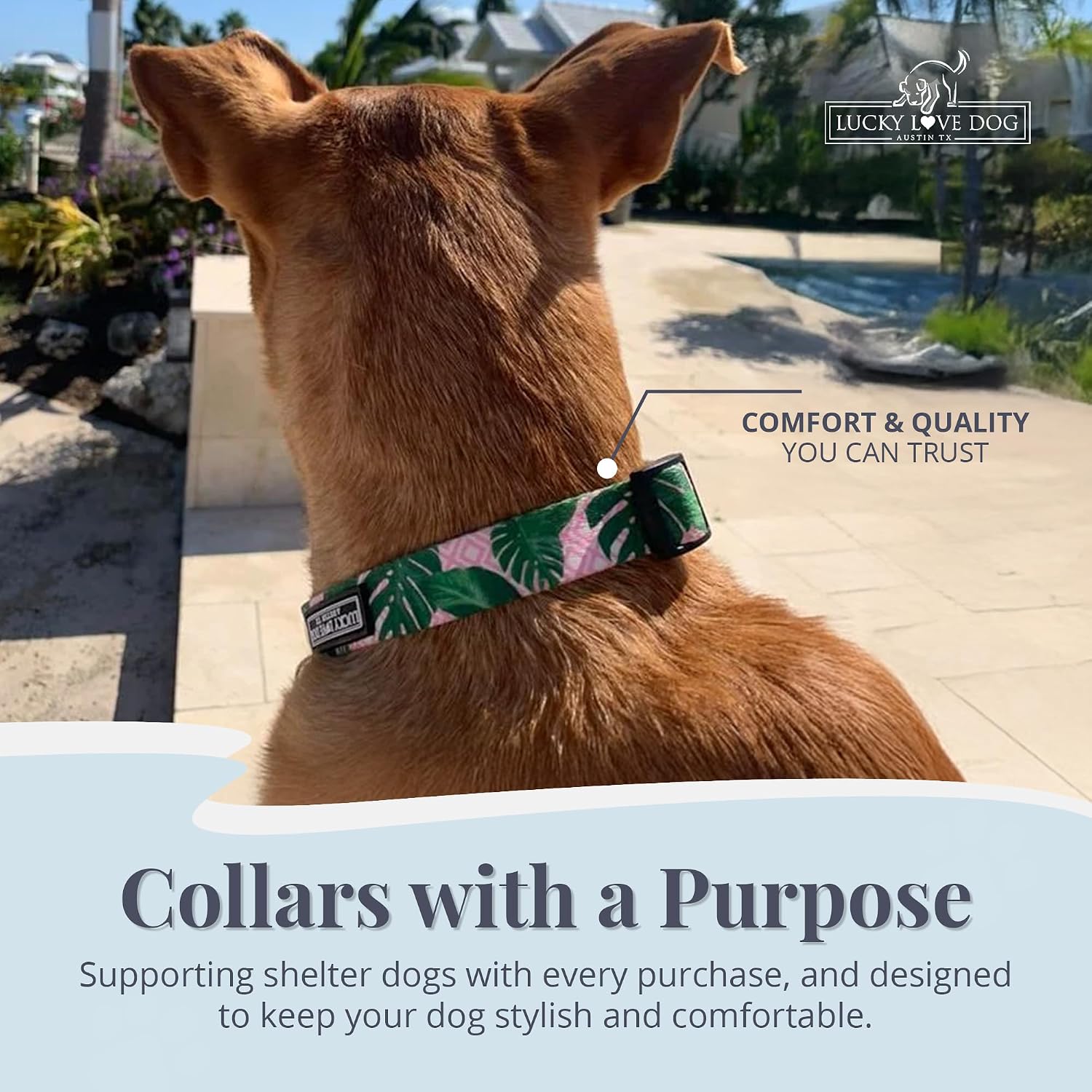 COLLAR AJUSTABLE LUCKY LOVE DOG PARA PERROS PEQUEÑOS LAGUNA TALLA S - 4