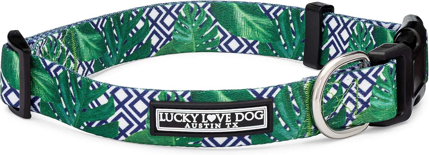 COLLAR AJUSTABLE LUCKY LOVE DOG PARA PERROS GRANDES AZUL LAGUNA - 1