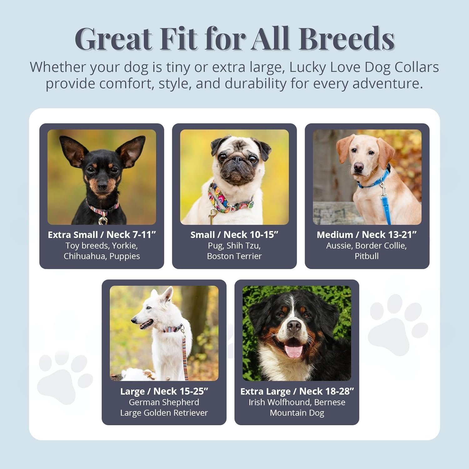 COLLAR AJUSTABLE LUCKY LOVE DOG CAROLINE PARA PERROS PEQUEÑOS - 5