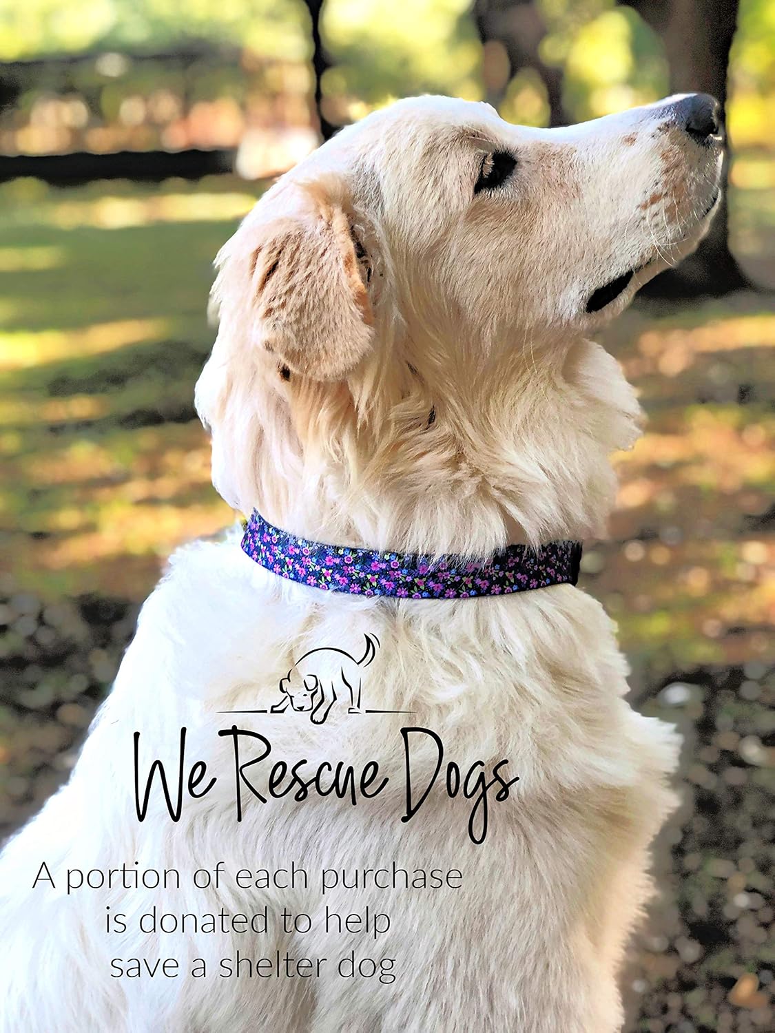 COLLAR Y CORREA LUCKY LOVE DOG PRIMROSE PARA PERROS GRANDES - 5