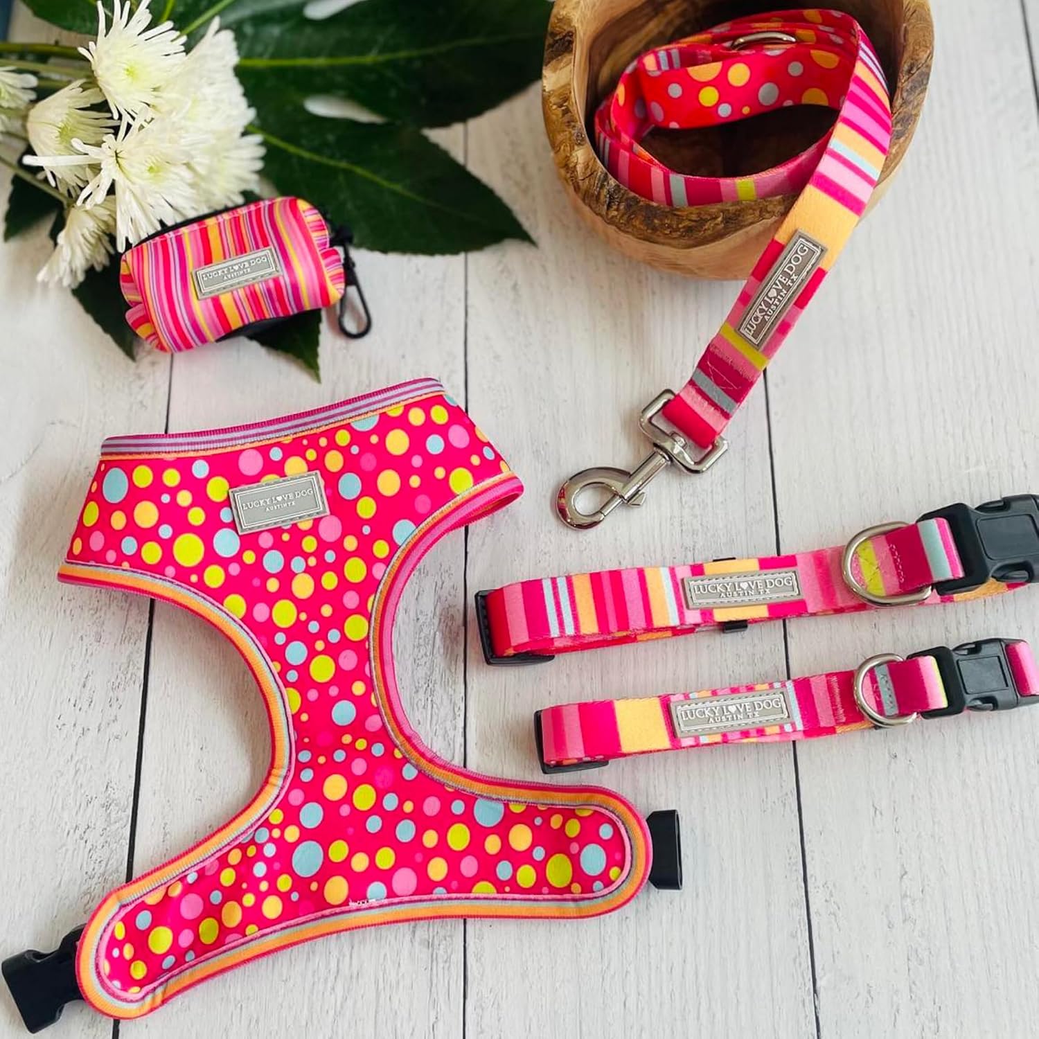 JUEGO DE COLLAR Y CORREA LUCKY LOVE DOG MOLLY TALLA X-SMALL - 5