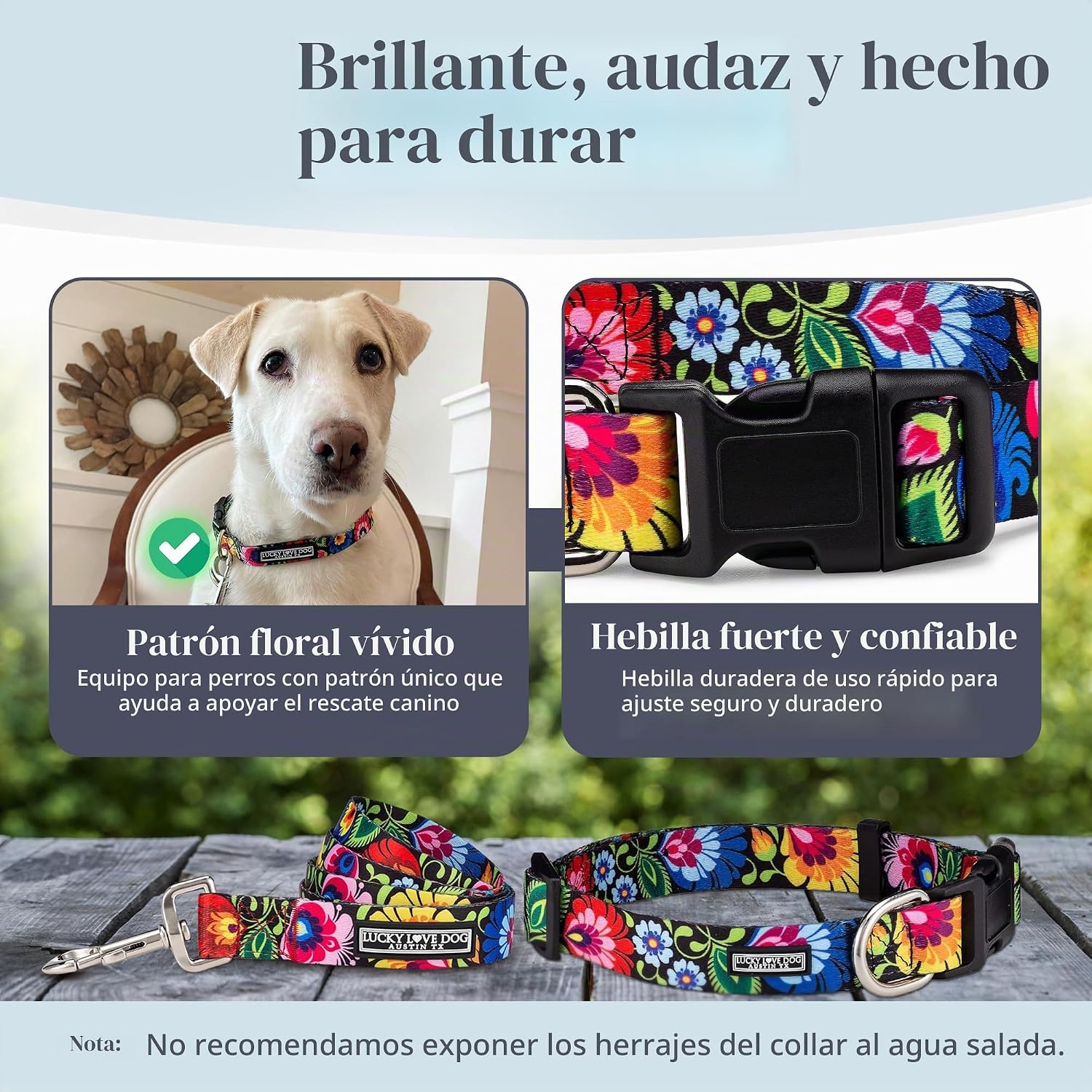 COLLAR Y CORREA LUCKY LOVE DOG BLACKBIRD PARA PERROS GRANDES - 3