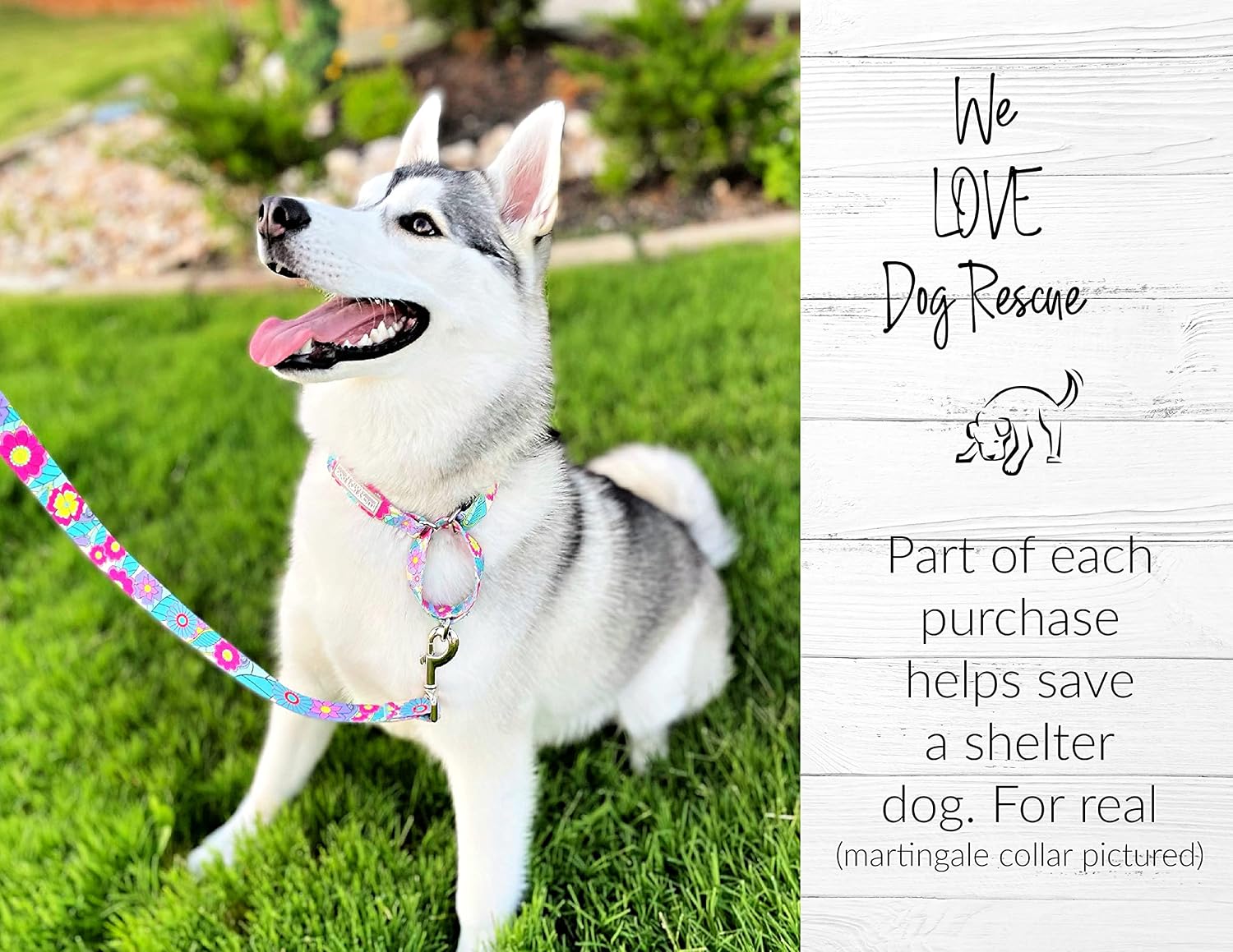 COLLAR AJUSTABLE LUCKY LOVE DOG CAROLINE PARA PERROS EXTRA GRANDES - 3
