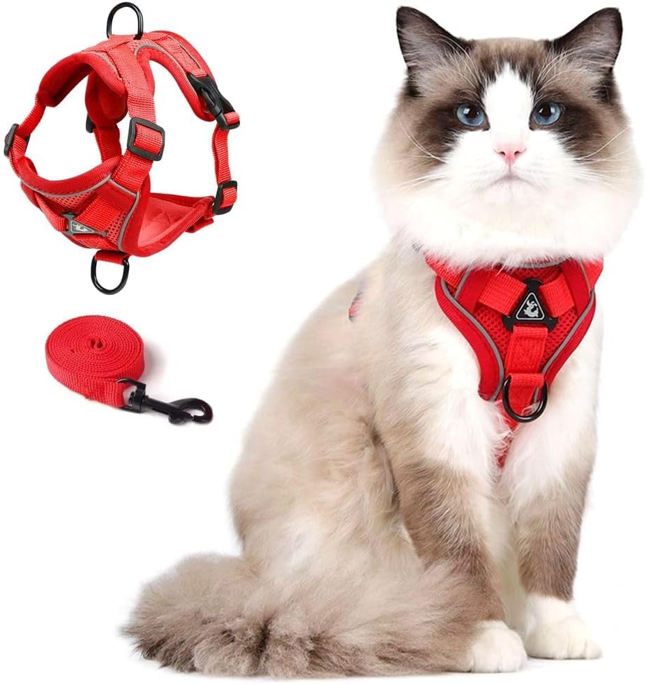 ARNÉS Y CORREA PARA GATO SKMEDITEC TALLA M ROJO - 1