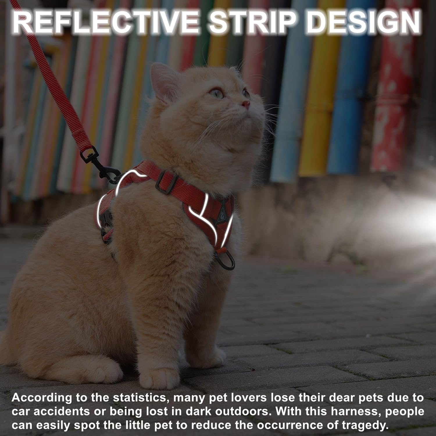 ARNÉS Y CORREA PARA GATO SKMEDITEC TALLA M ROJO - 5