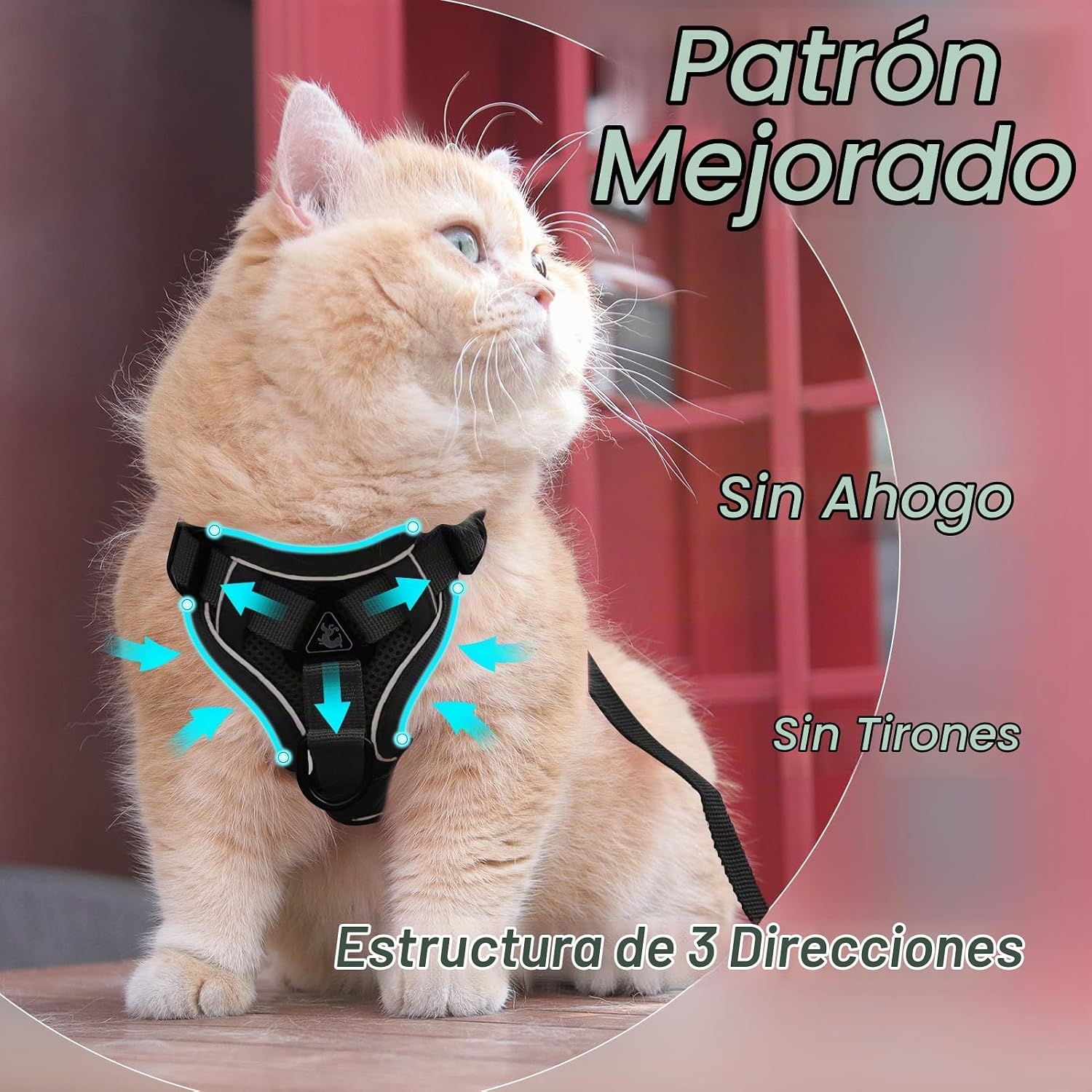 ARNÉS Y CORREA PARA GATO SKMEDITEC ESCAPE PROOF TALLA M NEGRO - 2