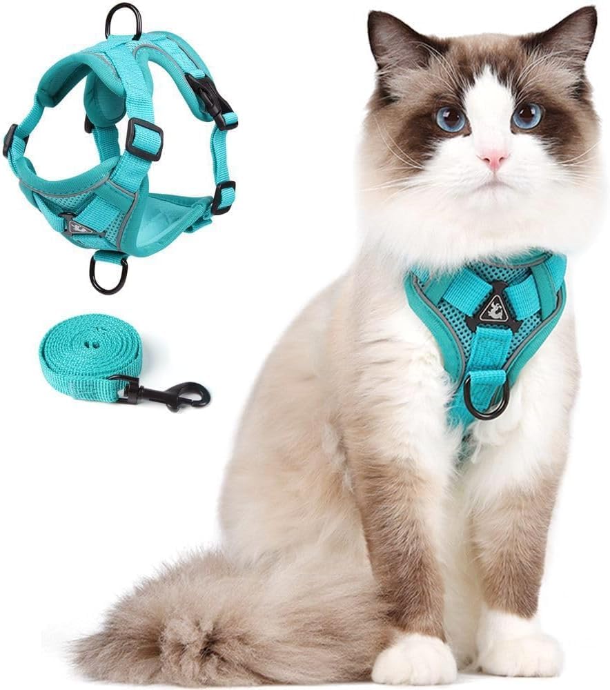 ARNÉS Y CORREA PARA GATOS SKMEDITEC TALLA M VERDE ESMERALDA - 1