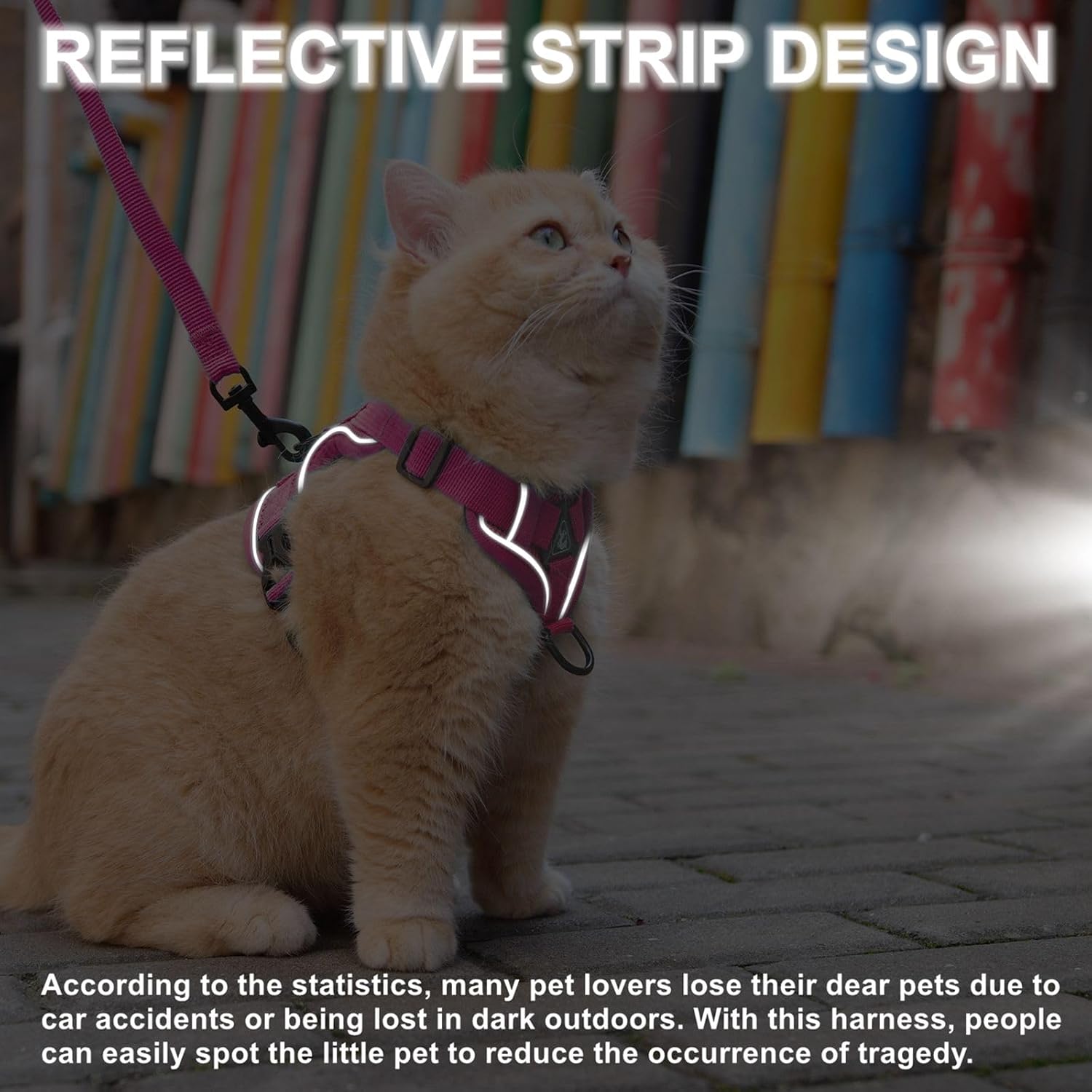 ARNÉS Y CORREA PARA GATO SKMEDITEC TALLA S ROSA - 5