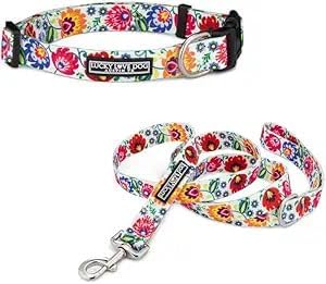 COLLAR Y CORREA LUCKY LOVE DOG MARIQUITA PARA PERROS GRANDES - 1