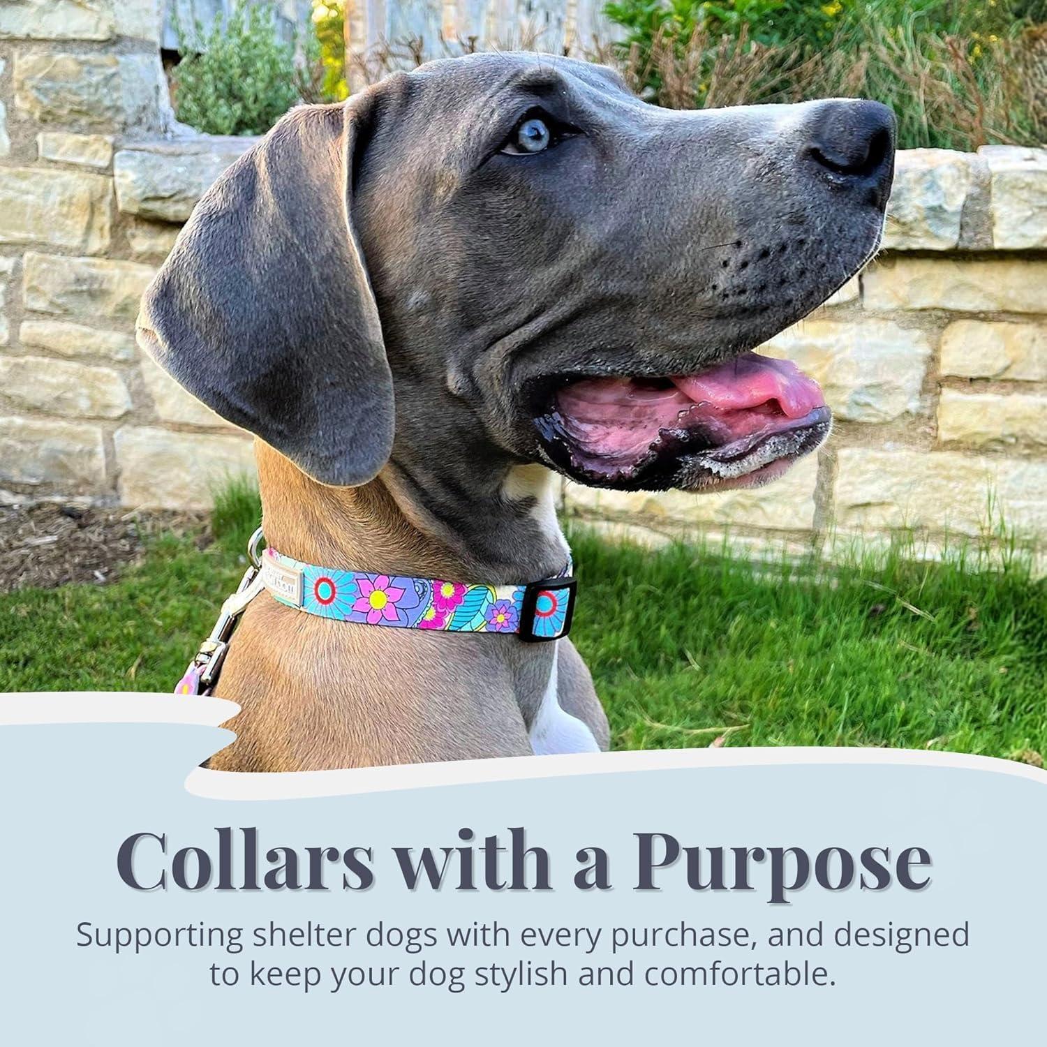 COLLAR LUCKY LOVE DOG CAROLINE PARA CACHORROS Y PERROS PEQUEÑOS TALLA XS - 4