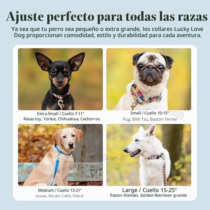 COLLAR PARA PERROS LUCKY LOVE DOG LADYBIRD AJUSTABLE MEDIANO - 3