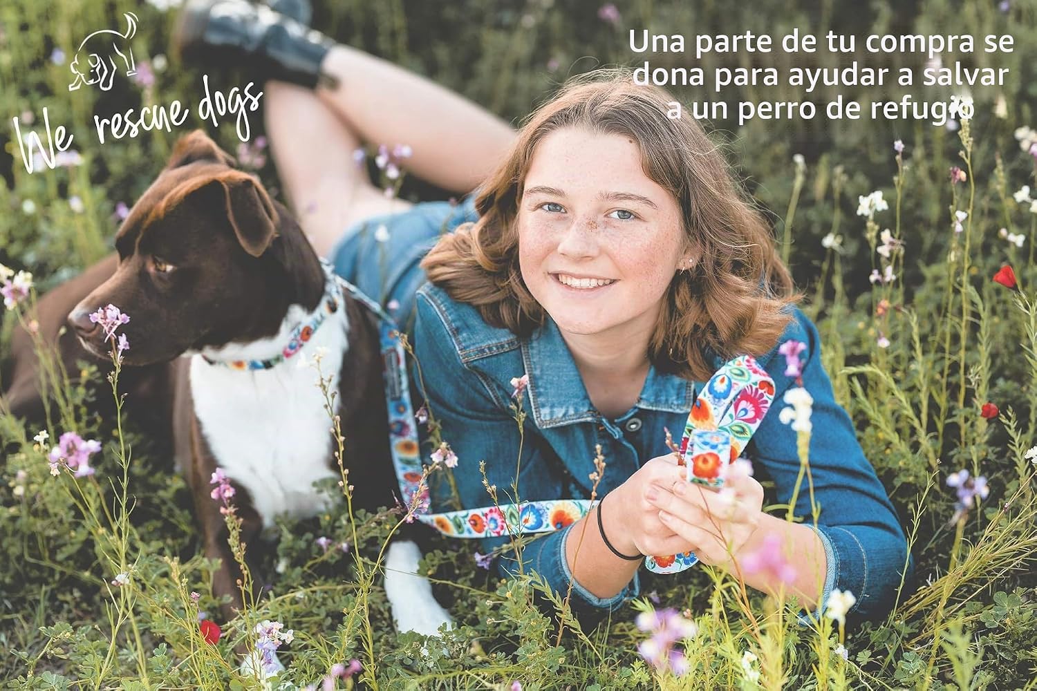 COLLAR PARA PERROS LUCKY LOVE DOG LADYBIRD AJUSTABLE MEDIANO - 4