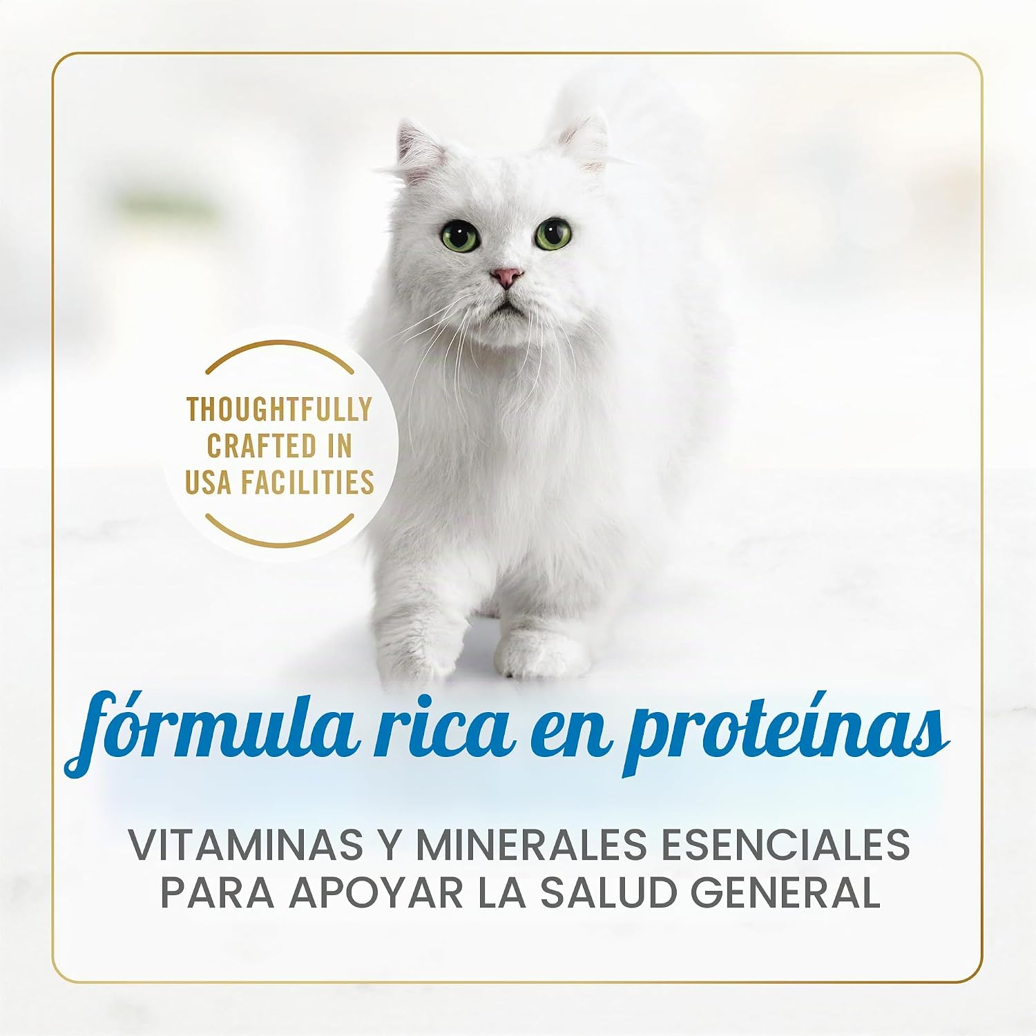 ALIMENTO HÚMEDO PARA GATOS PURINA FANCY FEAST CHUNKY TURKEY FEAST LATA 3 OZ PACK 24 UNIDADES - 5