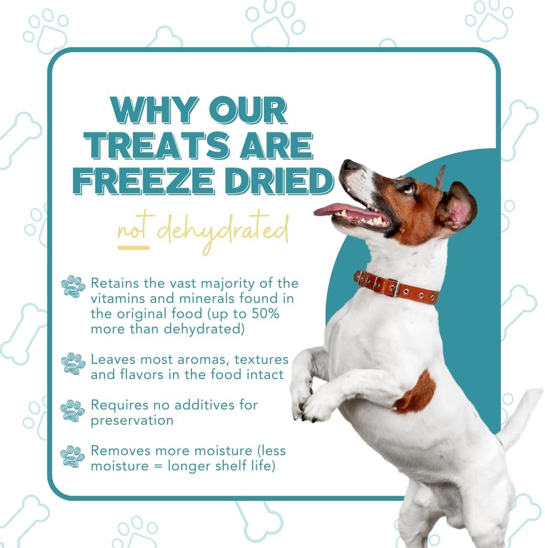 SNACK FREEZE DRIED PARA PERROS REMY'S KITCHEN HÍGADO DE BISONTE 2.5 OZ - 5