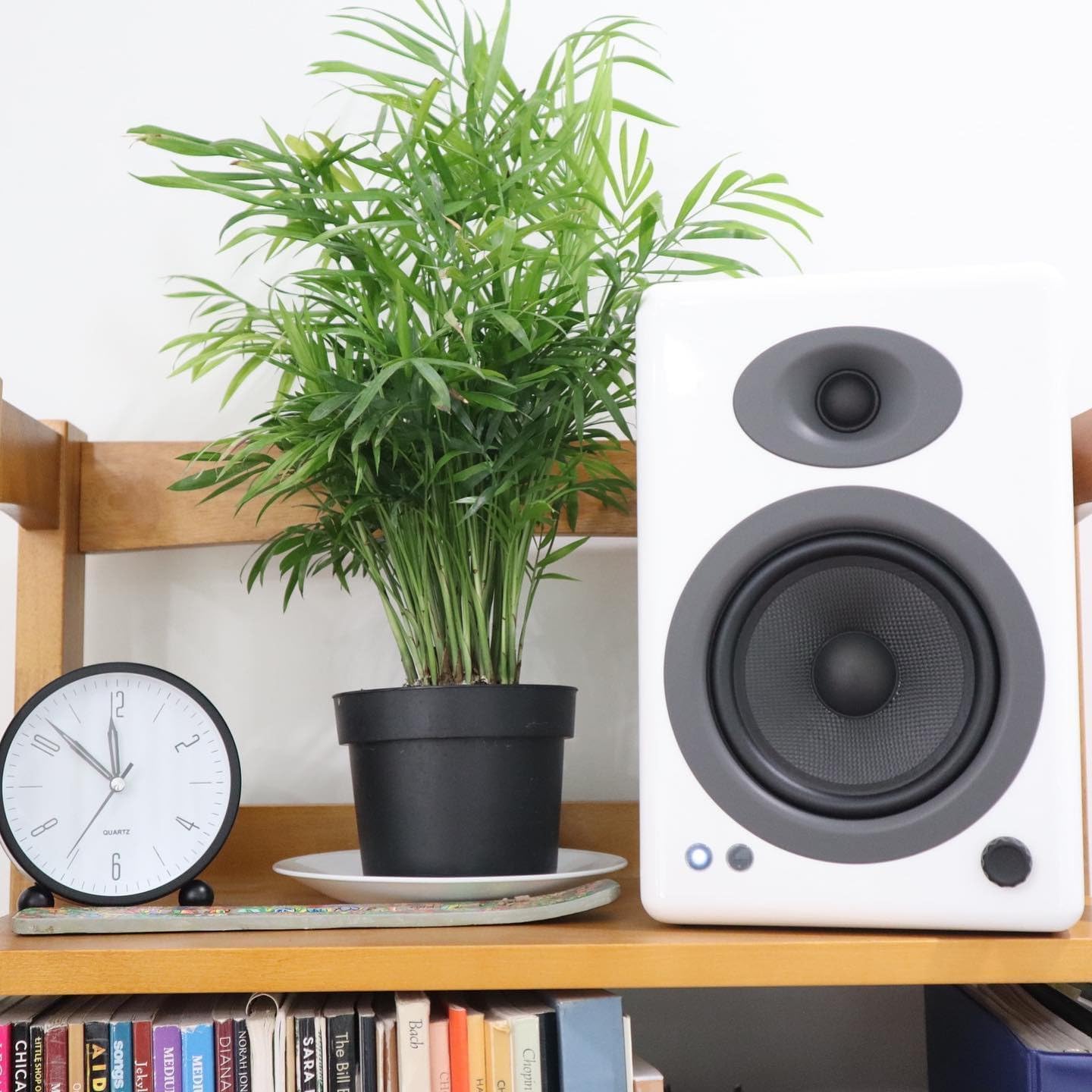 PARLANTES AUDIOENGINE A5+ WIRED BOOKSHELF SPEAKERS 150W - 5