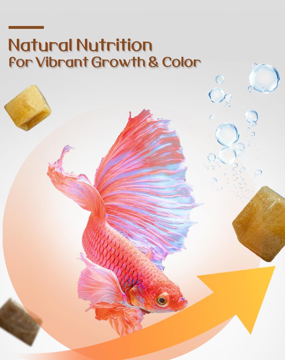 ALIMENTO LÍQUIDO PARA PECES BNYEE A BASE DE DAFNIA SIN REFRIGERACIÓN - 3
