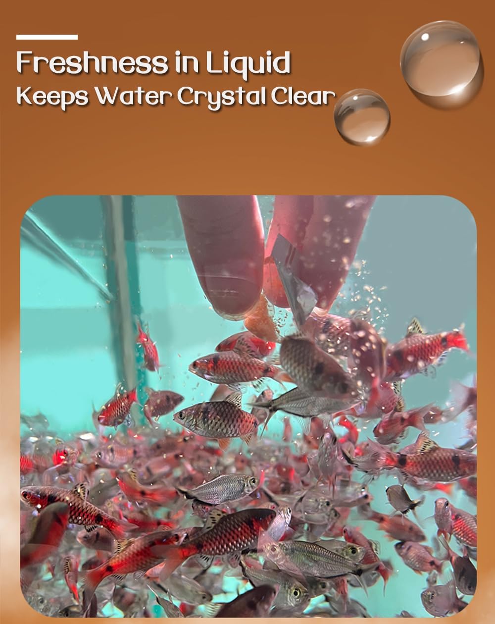 ALIMENTO LÍQUIDO PARA PECES BNYEE A BASE DE DAFNIA SIN REFRIGERACIÓN - 4
