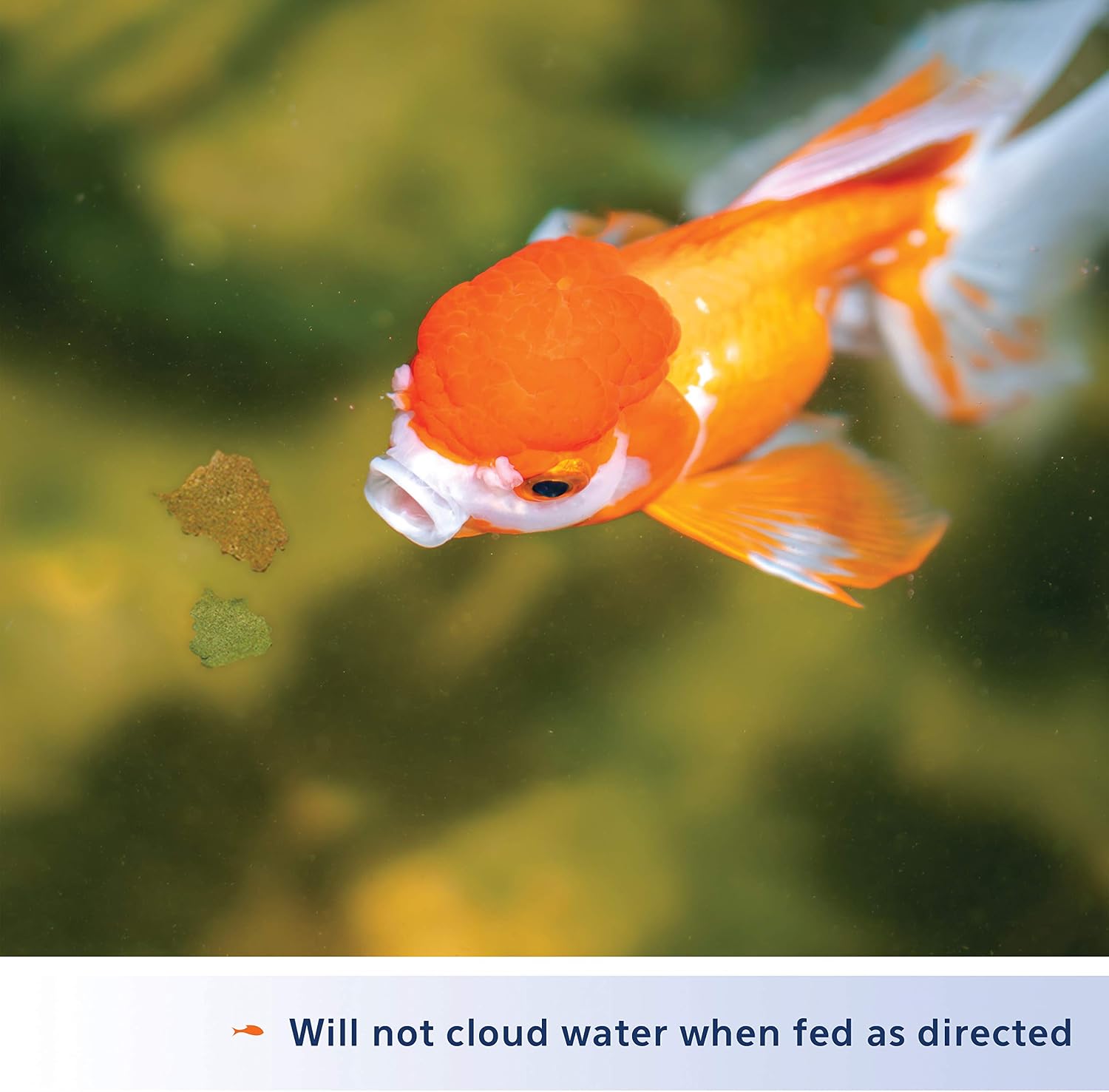 ALIMENTO PARA PECES AQUEON GOLDFISH FOOD FLAKES 7.1 ONZAS - 3
