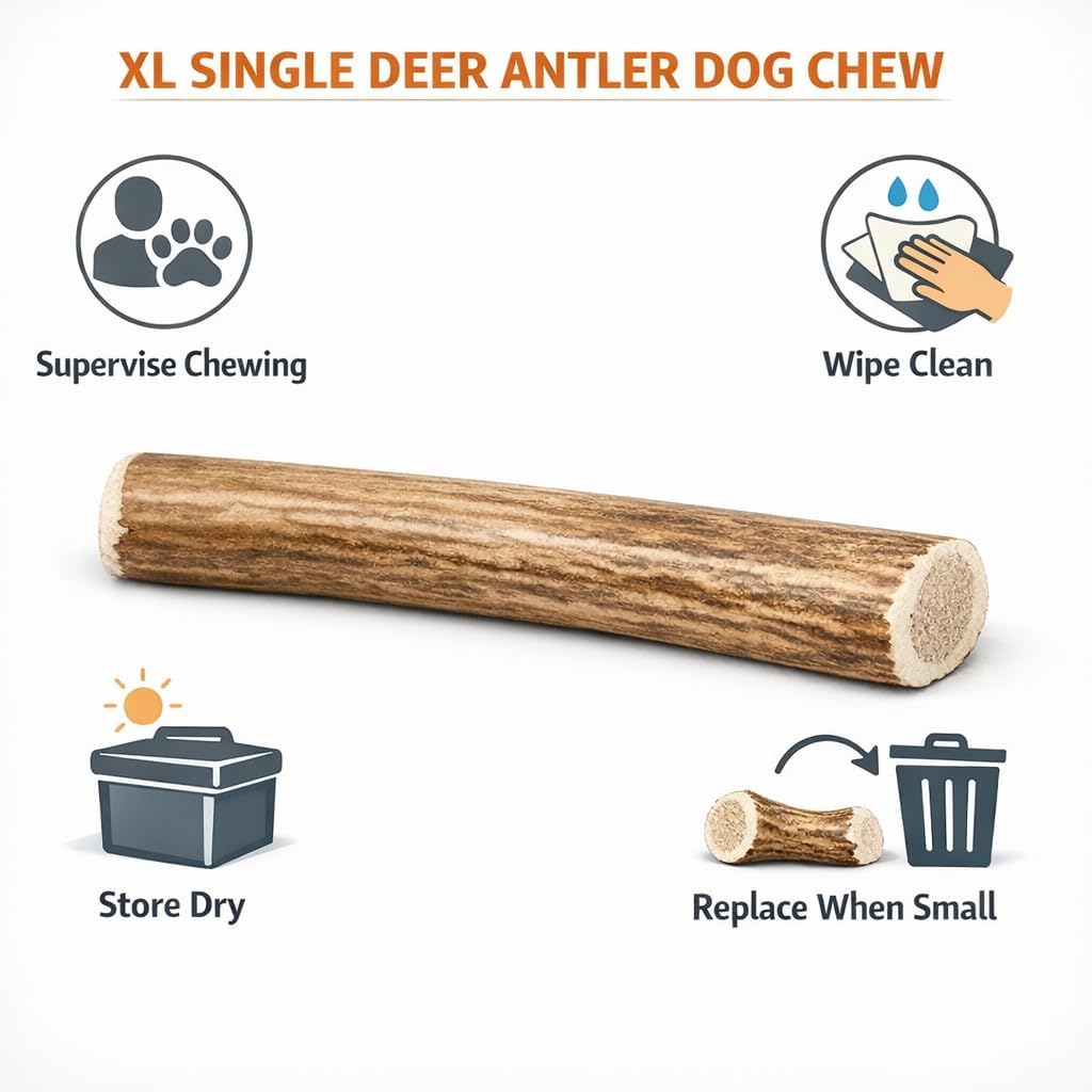MASTICABLE DE ASTA DE VENADO XL PARA PERROS GRANDES, 6-8 PULGADAS - 5