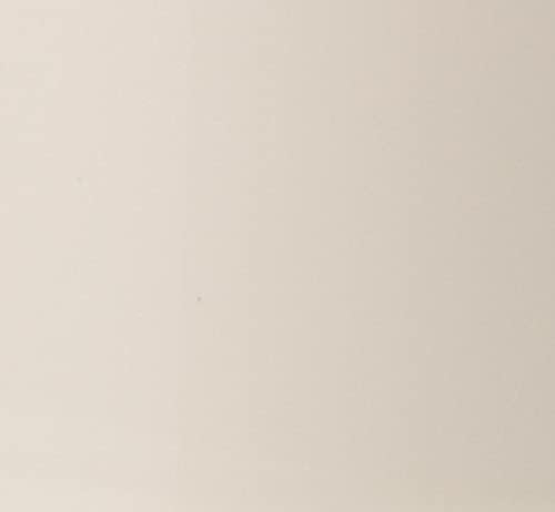 PINTURA EN SPRAY RUST-OLEUM PAINTER'S TOUCH 2X ULTRA COVER ARENA - 2