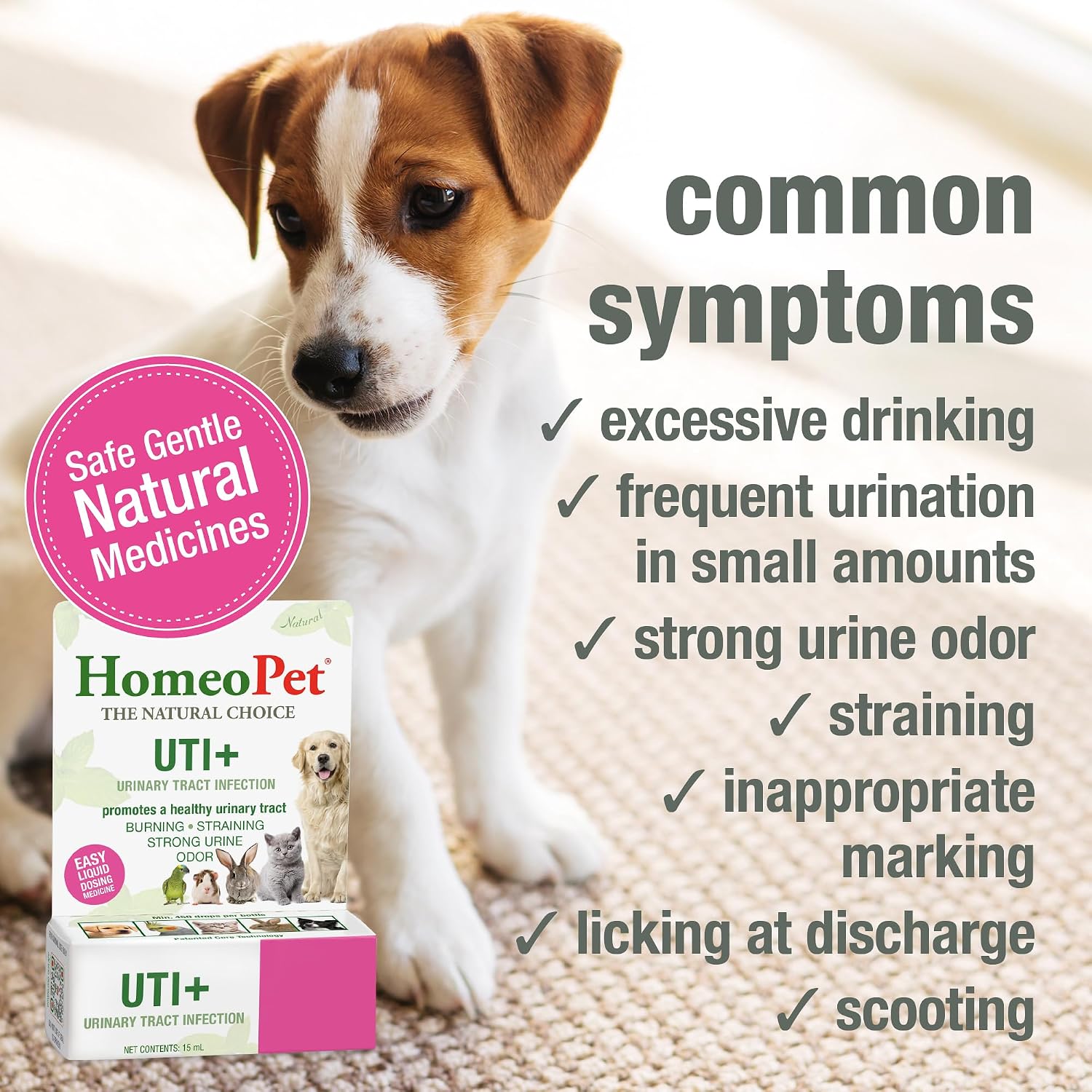 SUPLEMENTO URINARIO HOMEOPET UTI+ PARA PERROS Y GATOS 15 ML - 3