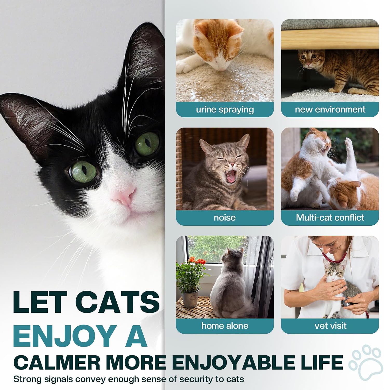 DIFUSOR DE FEROMONAS CALMANTE PARA GATOS LIWENQI 6 EN 1 - 3