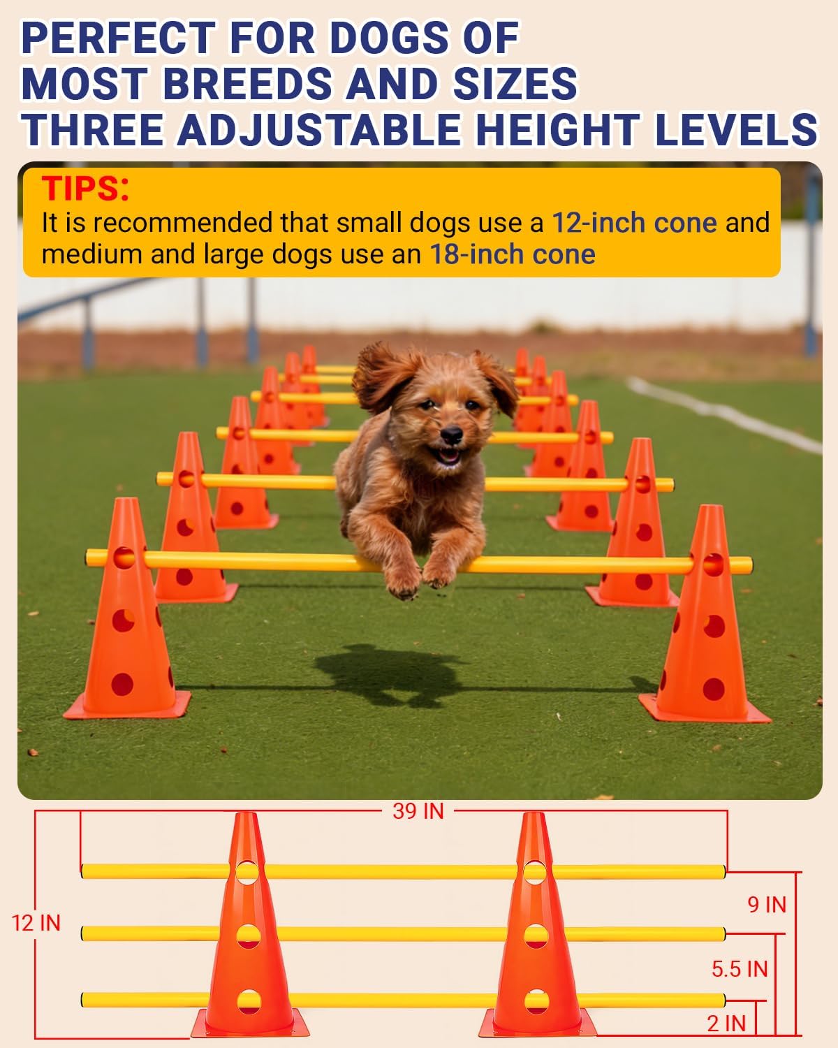 SET DE AGILIDAD PARA PERROS LUPAR CON 12 CONOS Y 6 BARRAS AJUSTABLES NARANJA - 2