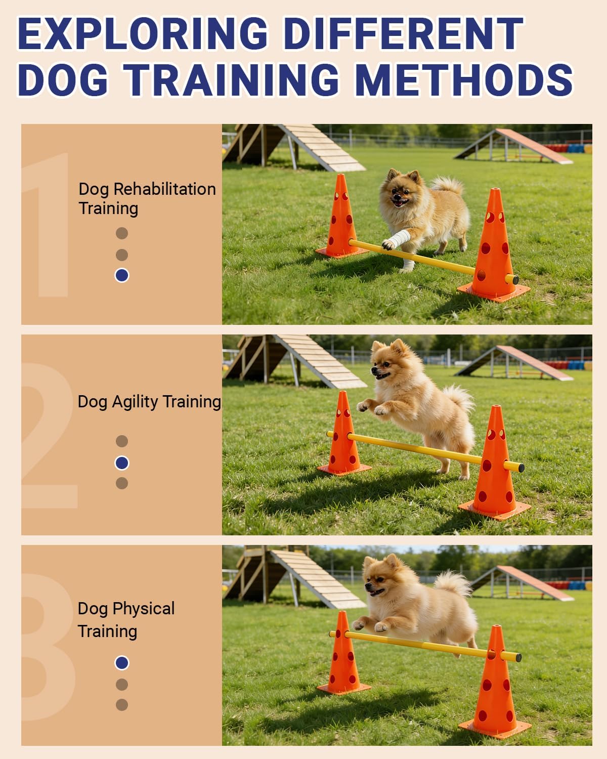 SET DE AGILIDAD PARA PERROS LUPAR CON 12 CONOS Y 6 BARRAS AJUSTABLES NARANJA - 3