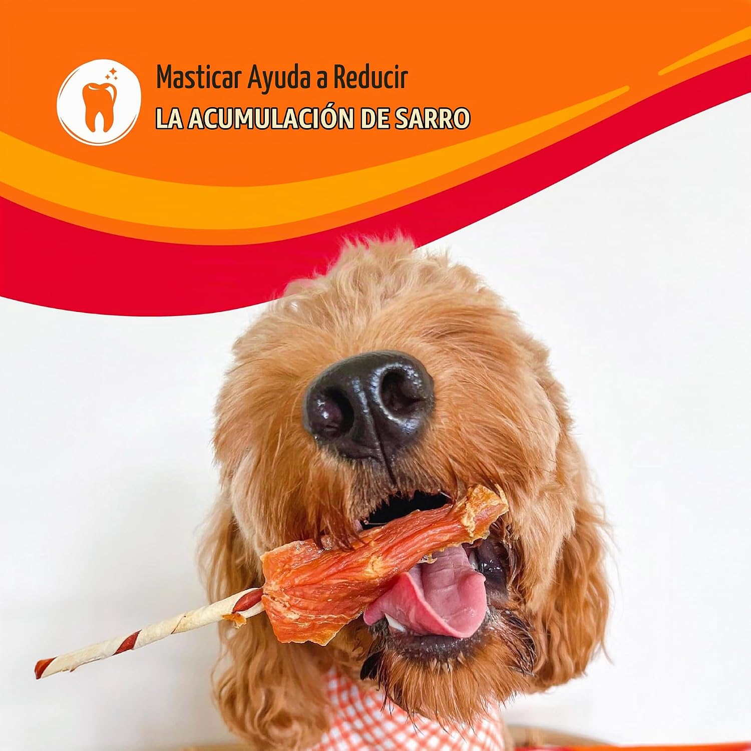 SNACK PARA PERROS GOOD 'N' FUN KABOBS 680 G - 5