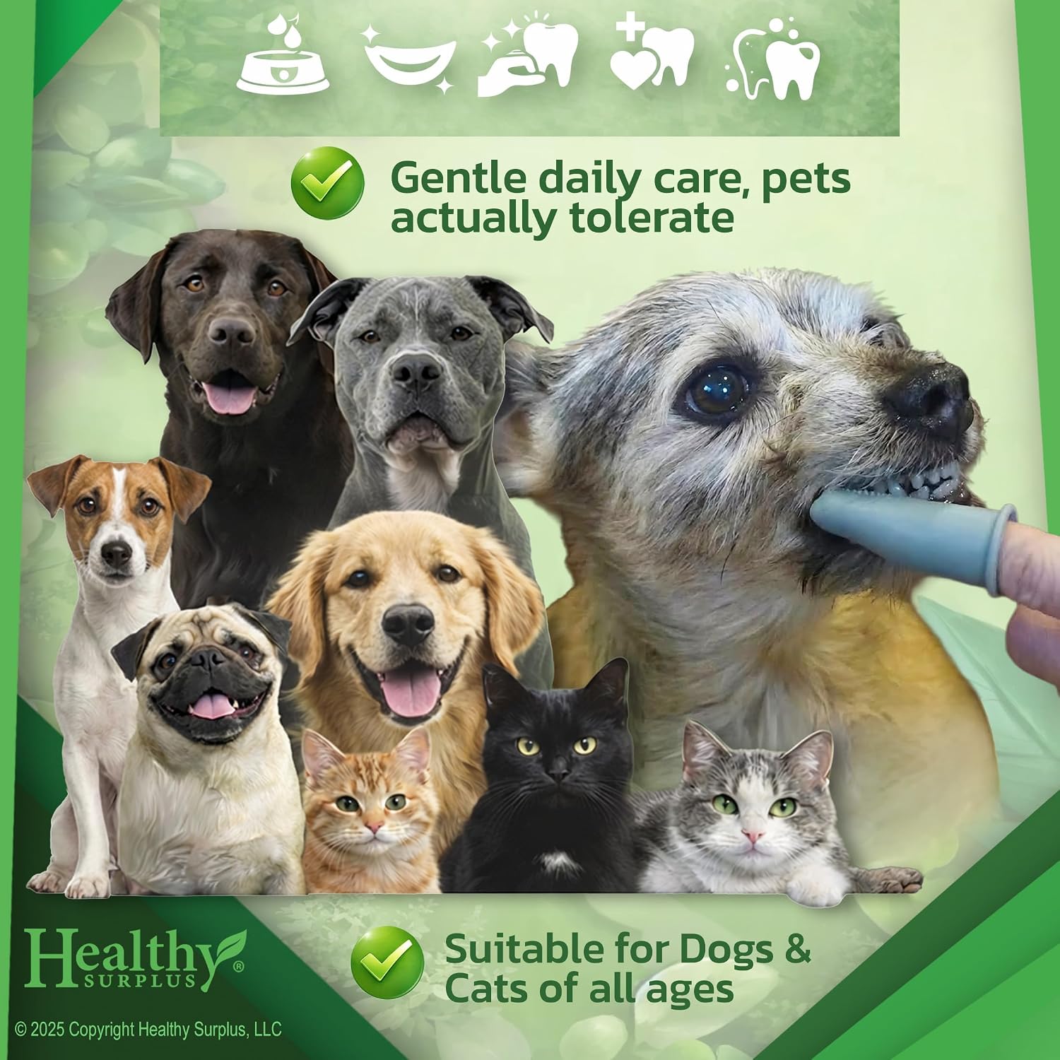 PASTA DENTAL ENZIMÁTICA HEALTHY SURPLUS 4 OZ SABOR POLLO CON CEPILLOS DE SILICONA PARA MASCOTAS - 3