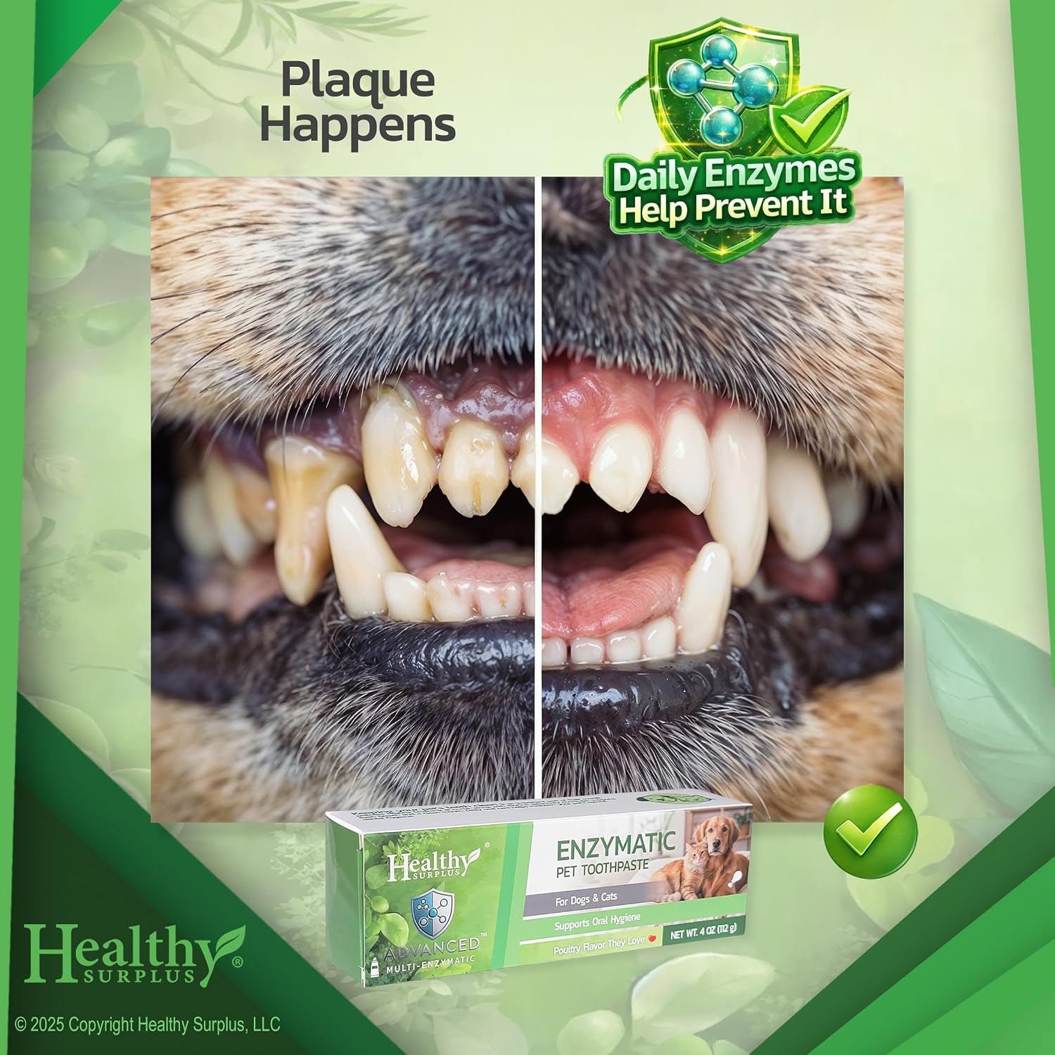 PASTA DENTAL ENZIMÁTICA HEALTHY SURPLUS 4 OZ SABOR POLLO CON CEPILLOS DE SILICONA PARA MASCOTAS - 4