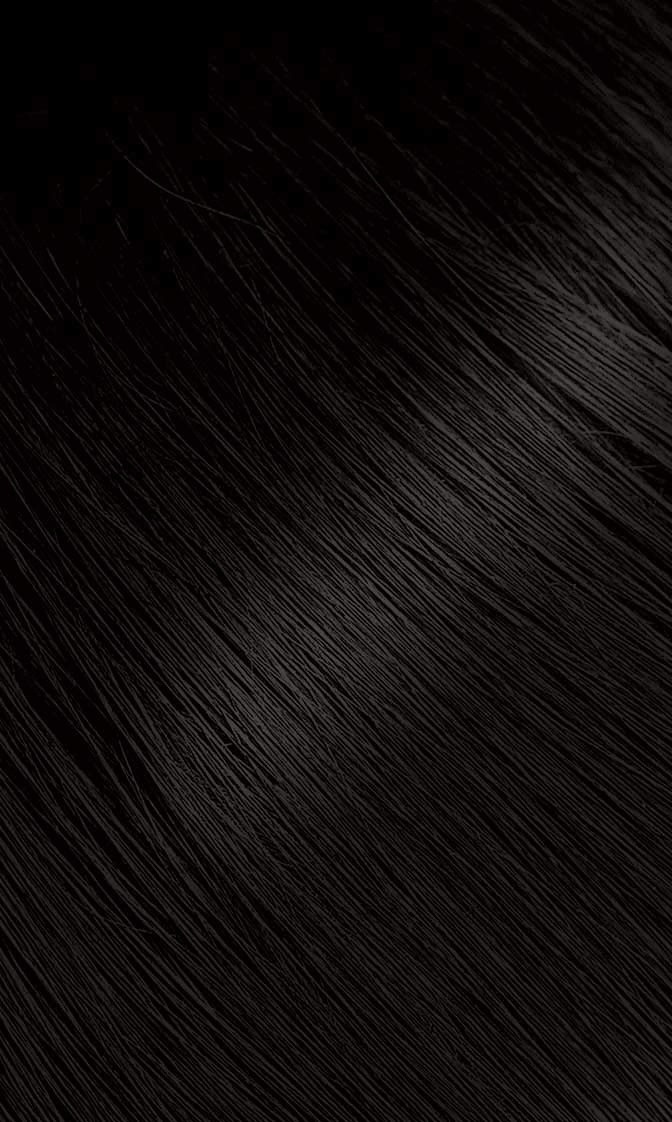 TINTURA EN POLVO PERMANENTE BIGEN 57 MARRÓN OSCURO 12 UNIDADES - 2